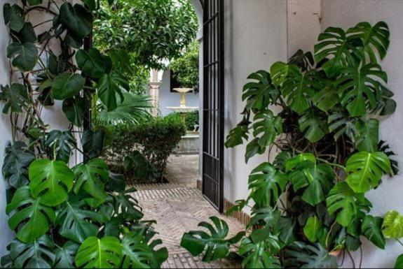 Apartamento En Un Dormitorio En Plaza Alfaro セビリア エクステリア 写真